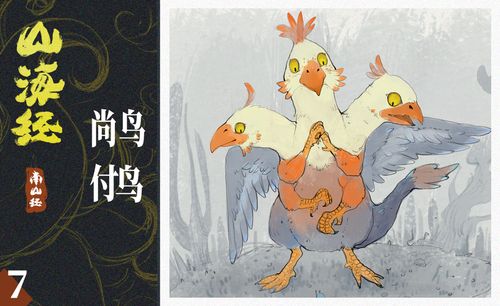 ps-板绘插画-山海经-尚鸟,付鸟