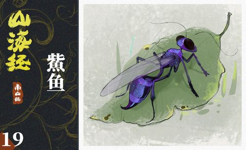 ps-板绘插画-山海经-芘蠃