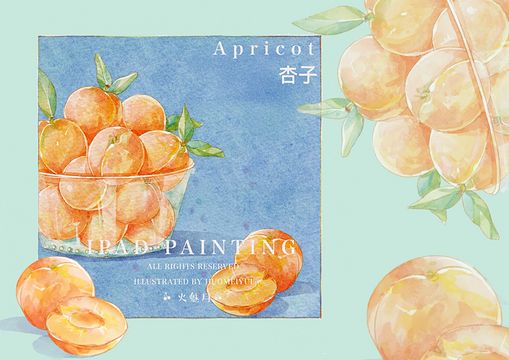 Procreate-iPad绘画水彩风水果-黄杏