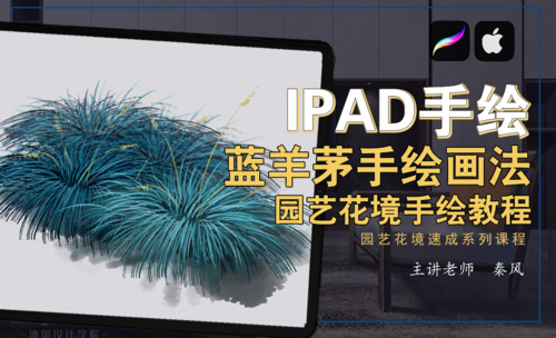 IPad+procreate-园艺花境手绘教程