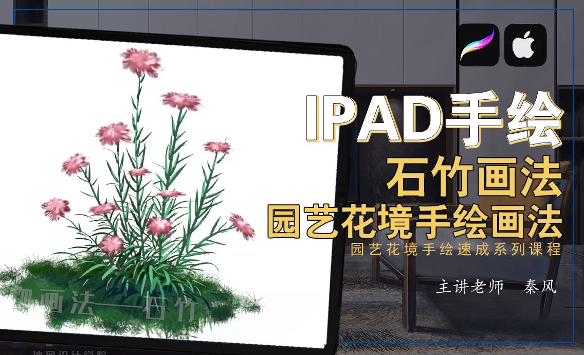 IPad+procreate-园艺花境手绘教程—石竹画法