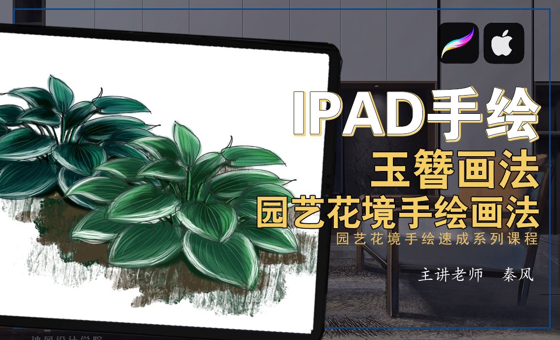 IPad+procreate-园艺花境手绘教程—玉簪画法