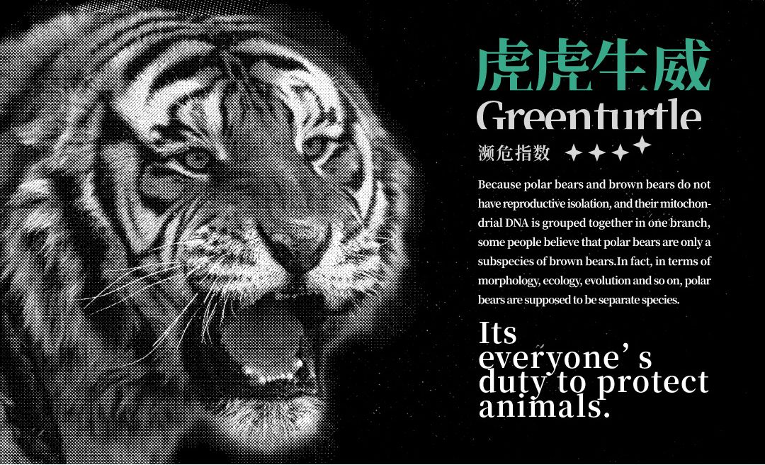 PS-保护动物公益海报
