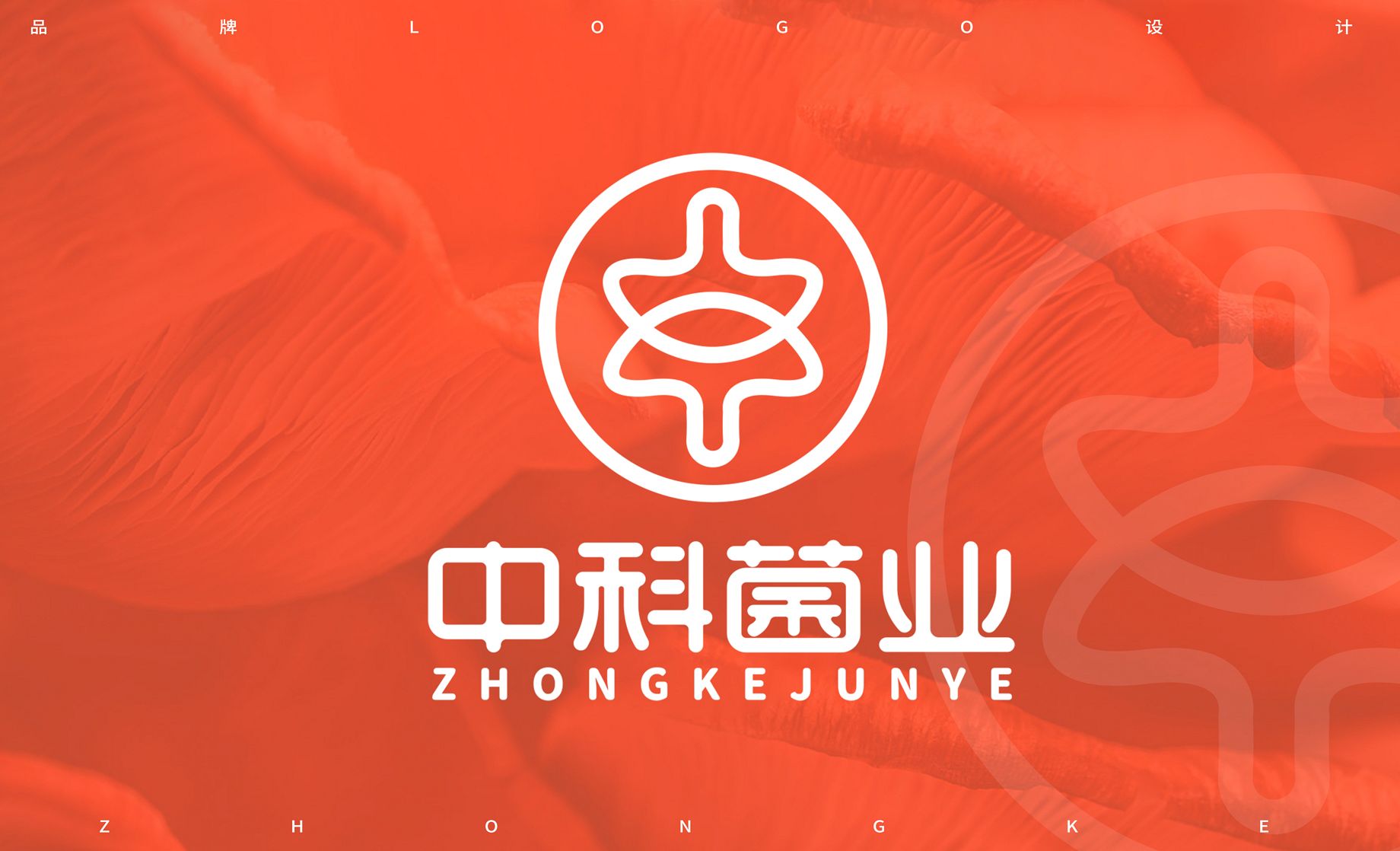 AI-中科菌业品牌logo标识设计