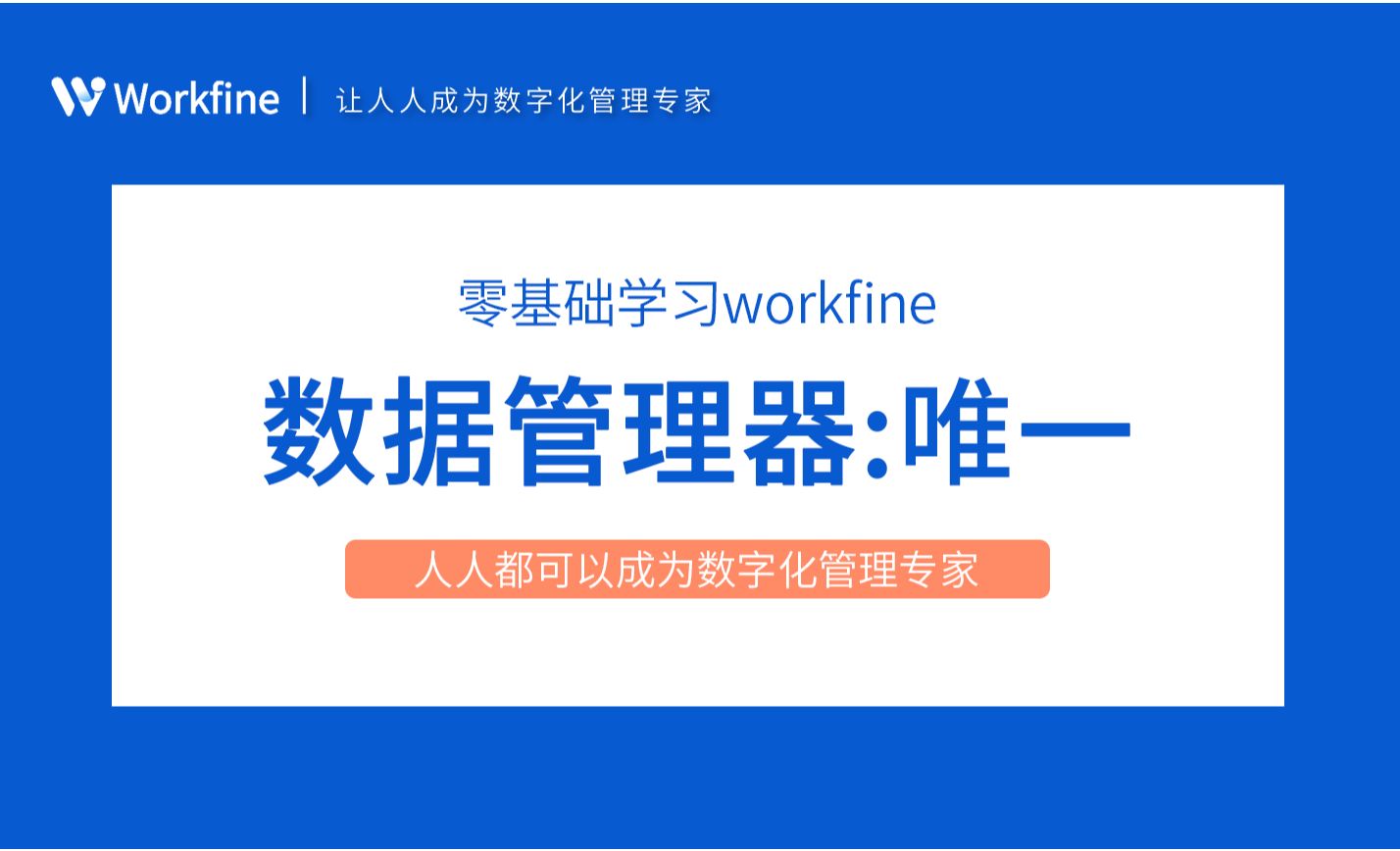 数据管理器之唯一-Workfine零代码企业办公系统2.3