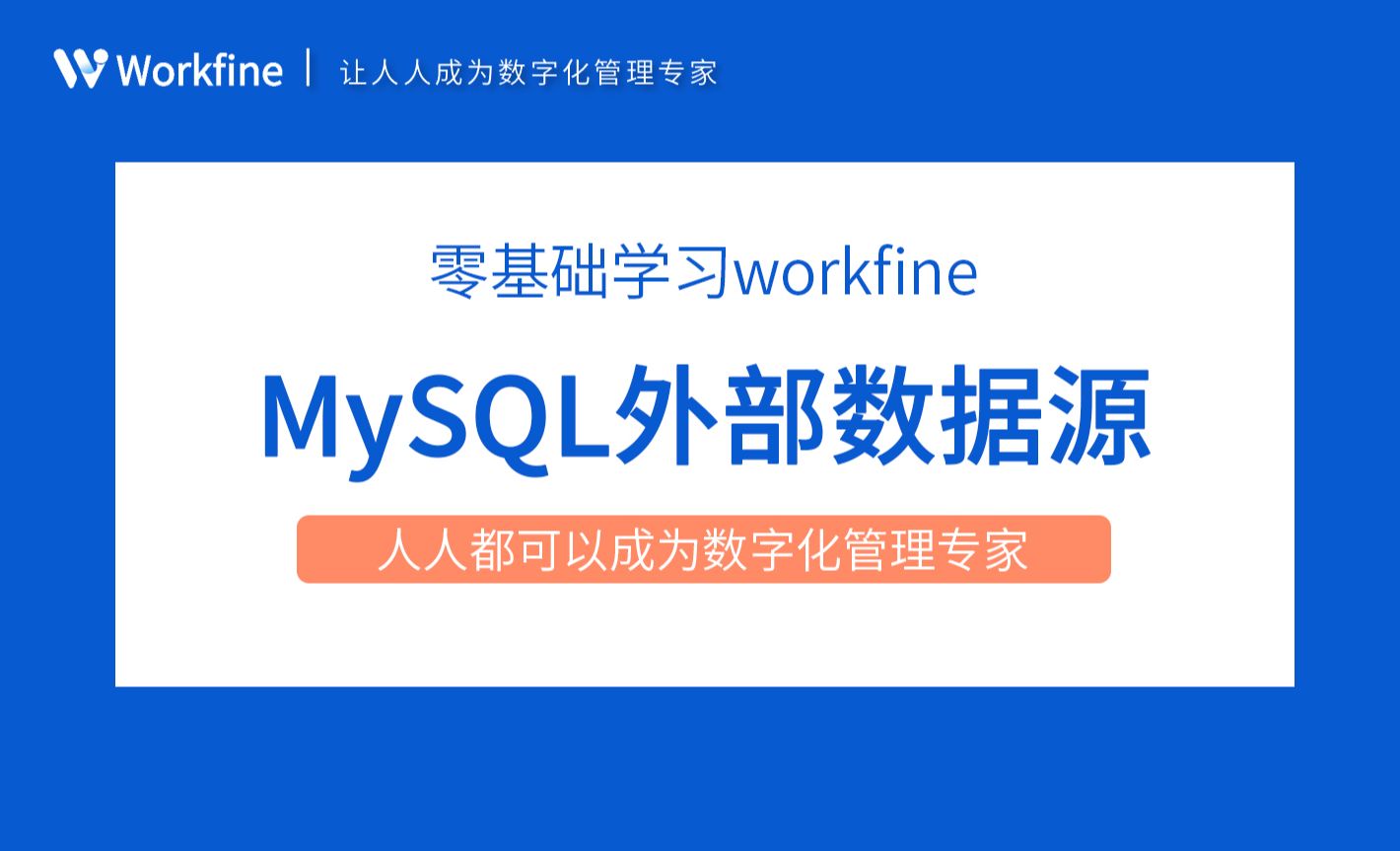 集成：MySQL外部数据源-Workfine零代码企业办公系统4.6