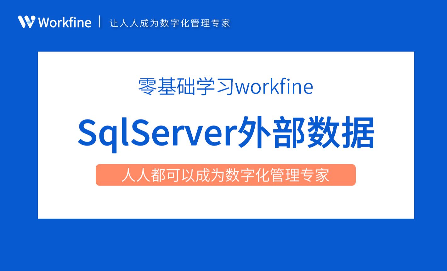 集成：SqlServer外部数据源-Workfine零代码企业办公系统4.5