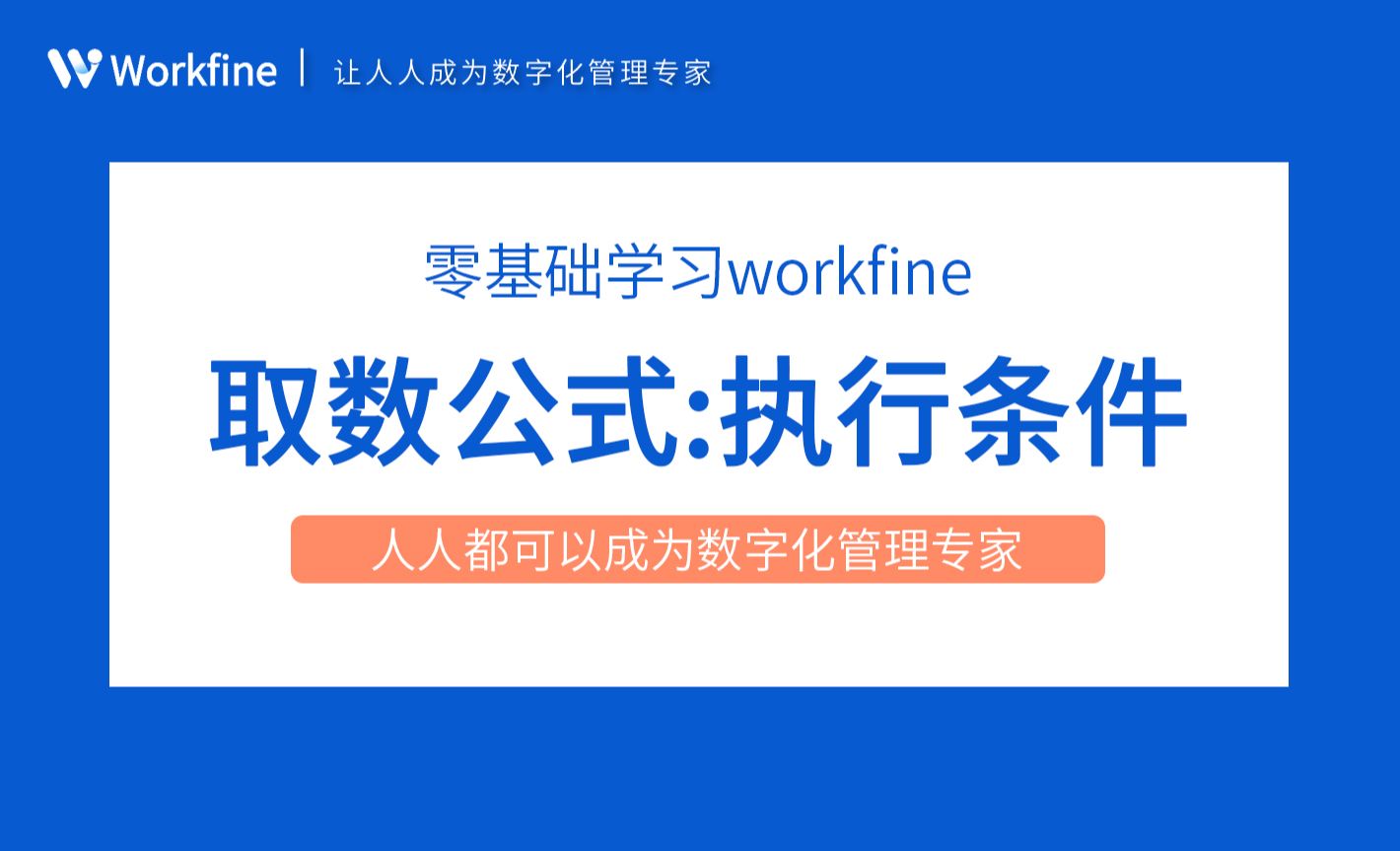 执行条件-Workfine零代码企业办公系统3.17