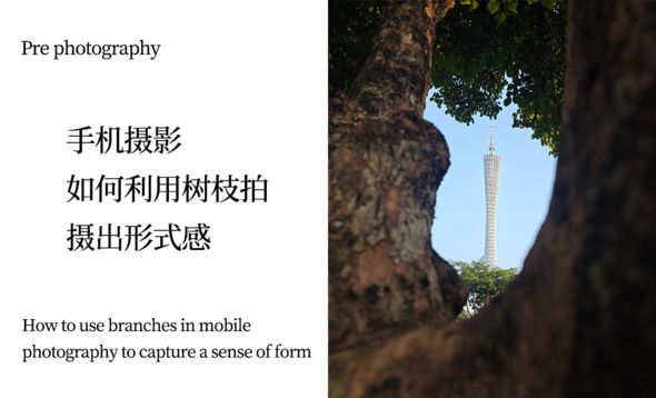 手机摄影-如何利用树枝拍摄出形势感