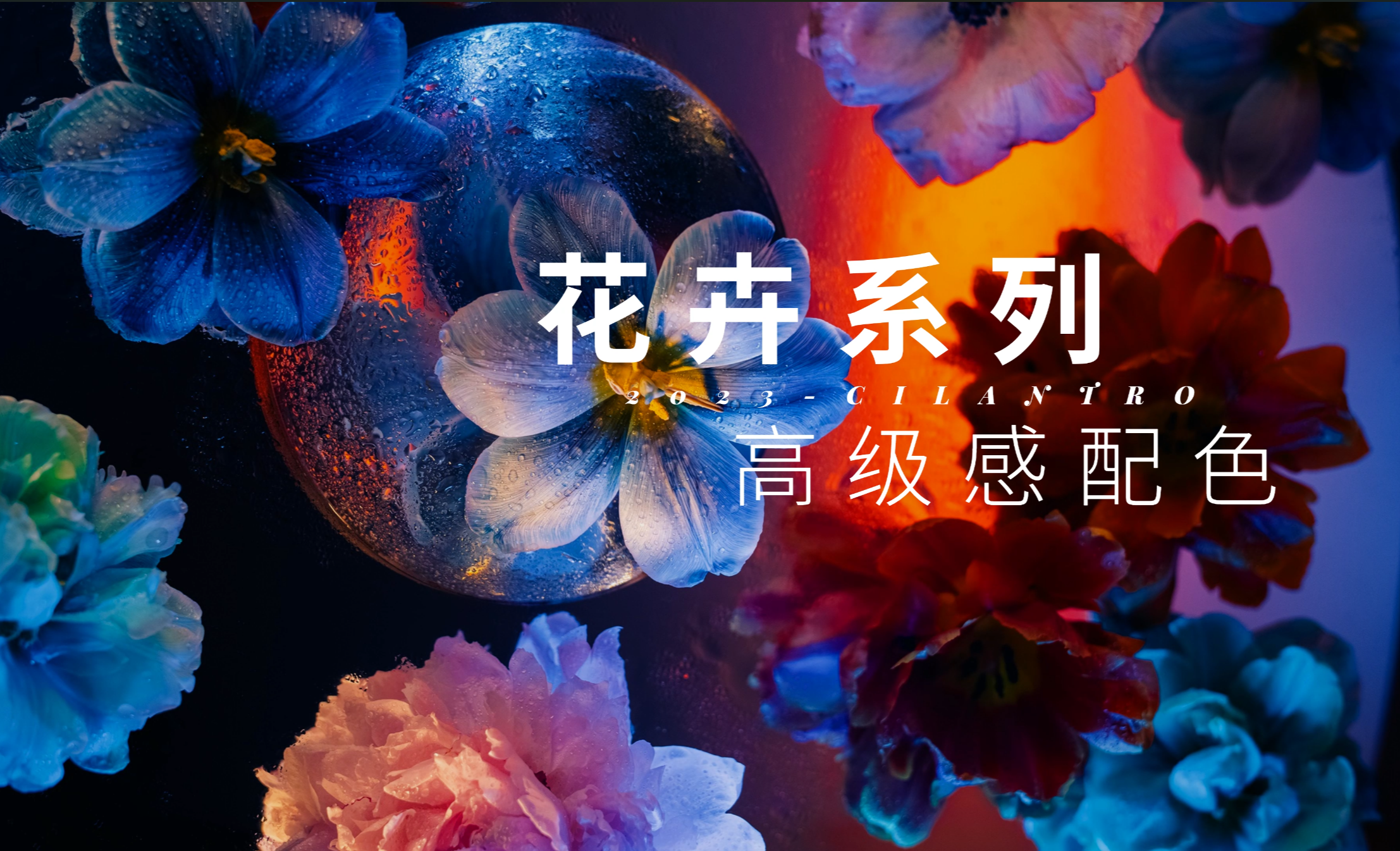 花卉系列高级感配色02-审美提升与配色纯享 - 平面设计教程_无 - 虎课网