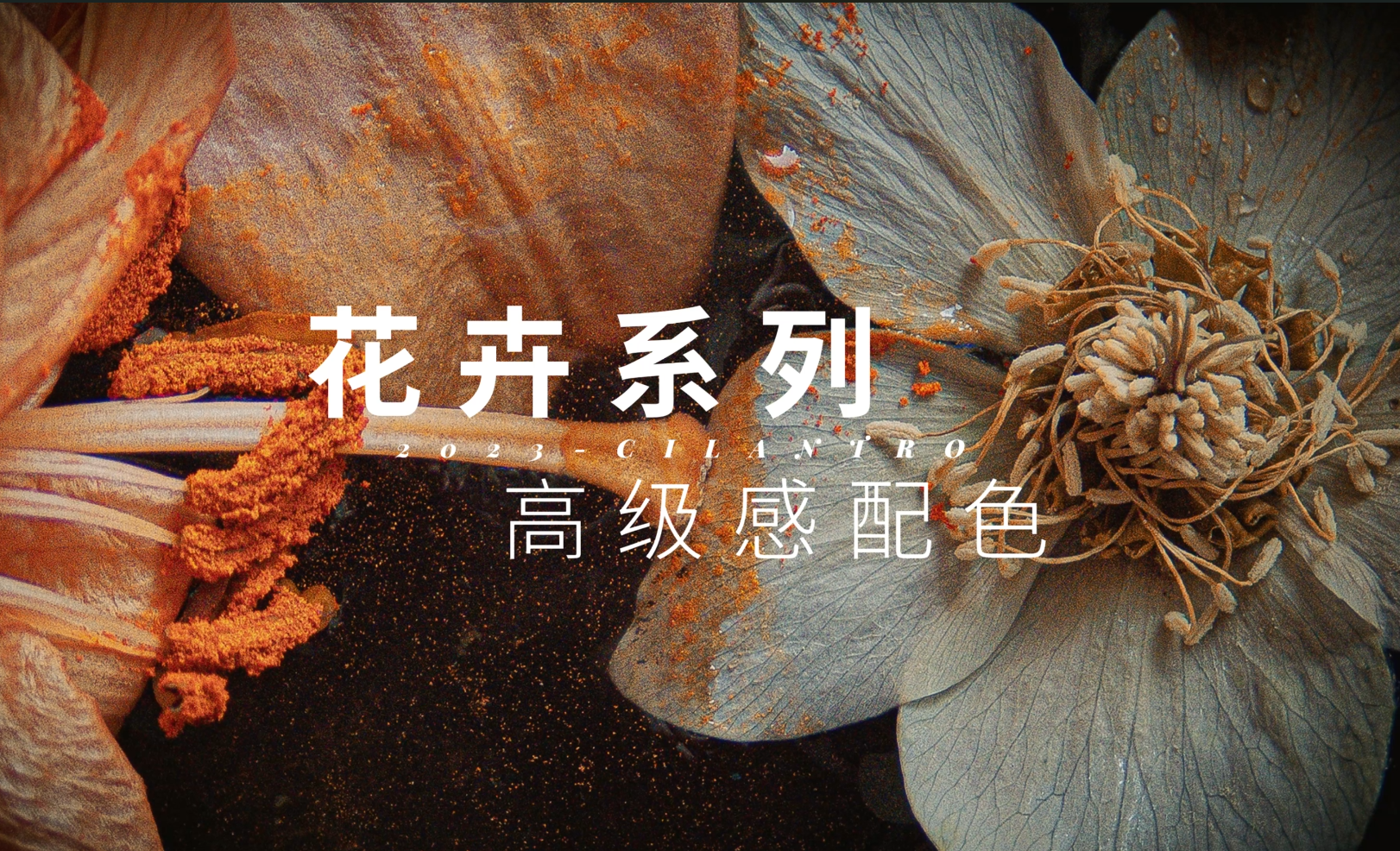 花卉系列高级感配色03-审美提升与配色纯享 - 平面设计教程_无 - 虎课网