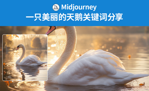Midjourney- 一只美丽的白天鹅关键词分享
