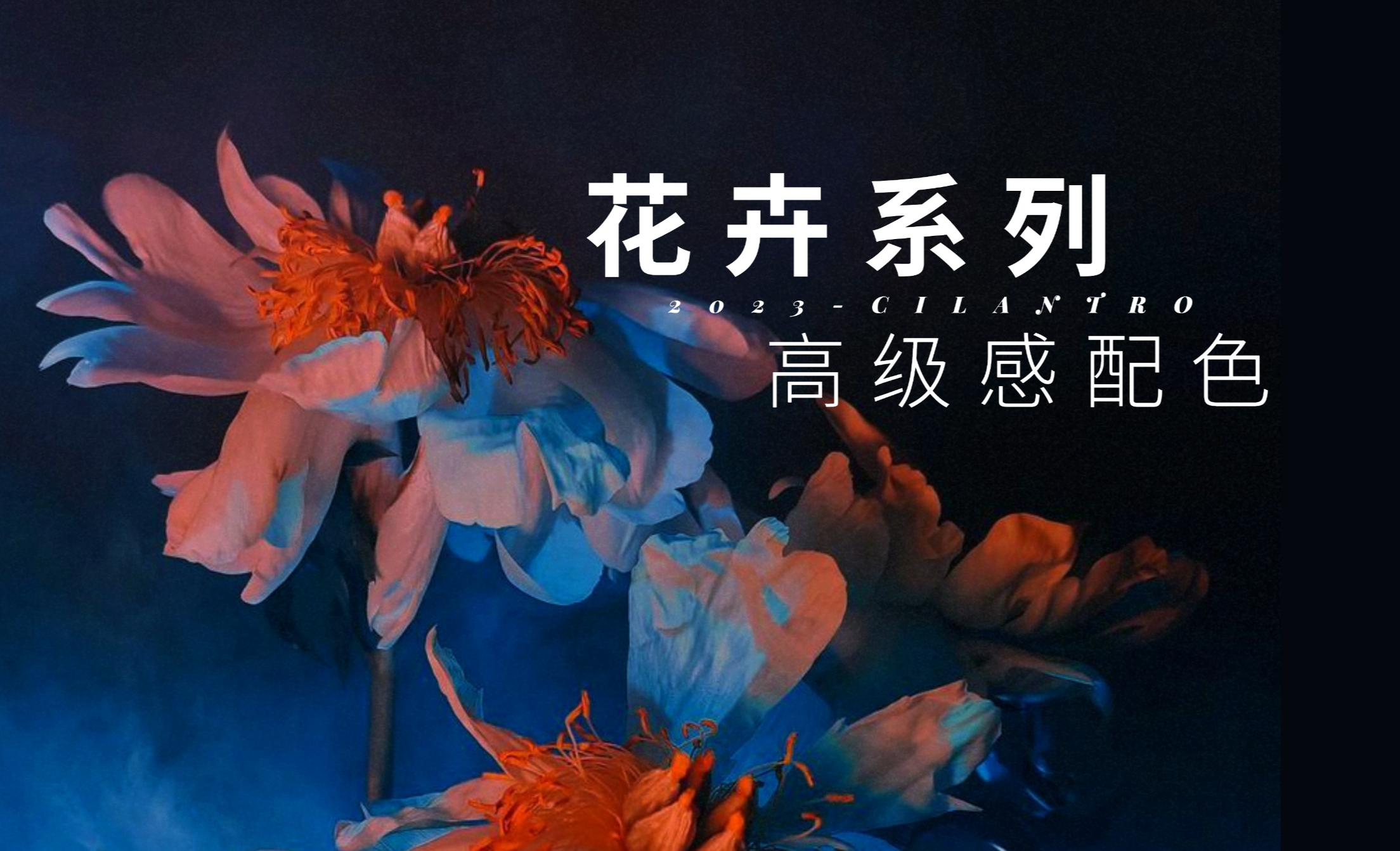 花卉系列高级感配色04-审美提升与配色纯享 - 平面设计教程_ - 虎课网