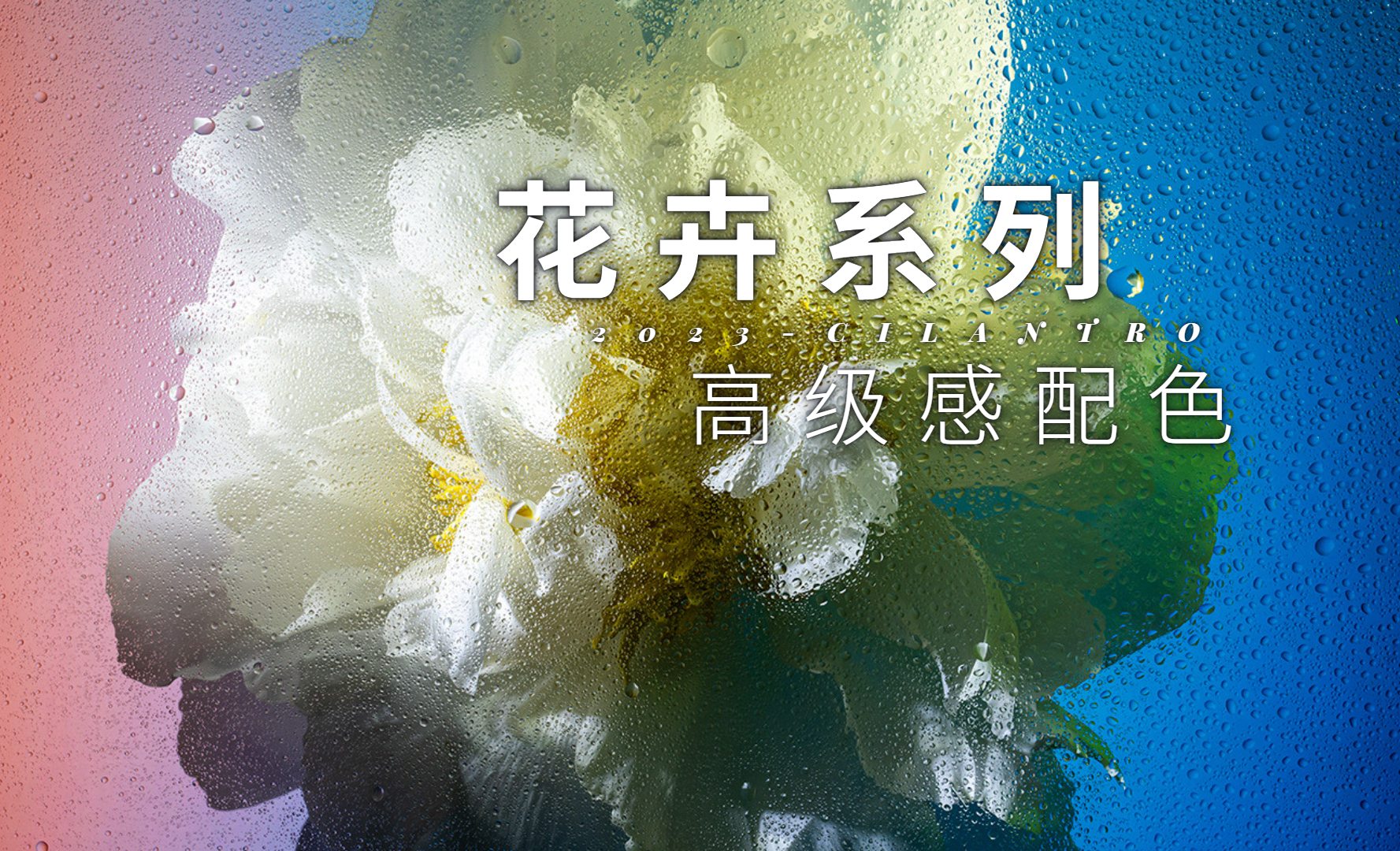 花卉系列高级感配色05-审美提升与配色纯享 - 平面设计教程_无 - 虎课网