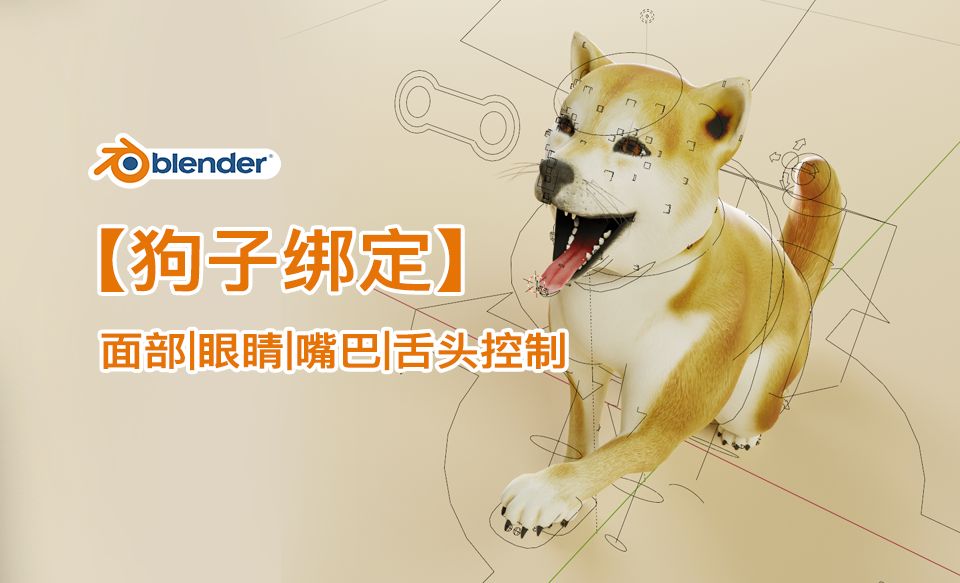 1、blender狗绑定,四足动物骨骼绑定，面部，眼睛，嘴巴，舌头绑定控制、权重、blender眼睛