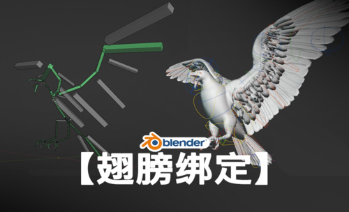 【Blender翅膀绑定】rigify绑定，鸟类绑定，快速从0开始完成绑定，超容易上手