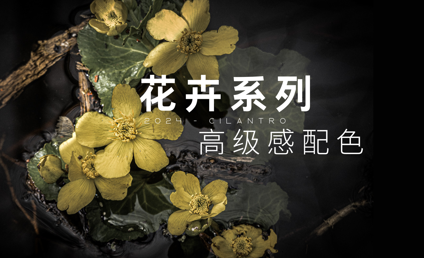 花卉系列高级感配色10-审美提升与配色纯享 - 平面设计教程_ - 虎课网