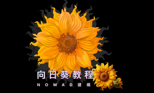 Nomad建模-向日葵教程