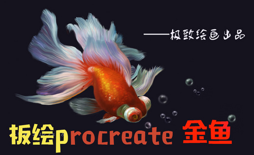 板绘procreate插画教程——金鱼