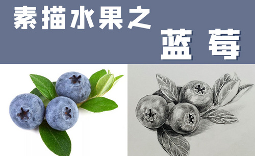 素描水果之蓝莓