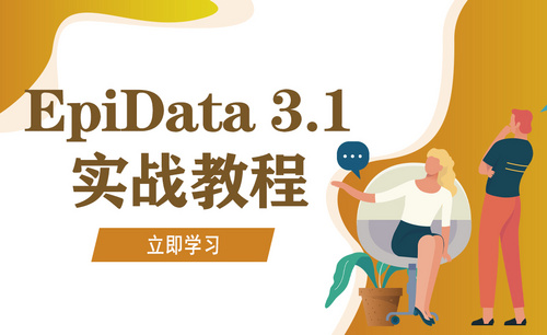EpiData 3.1 实战教程