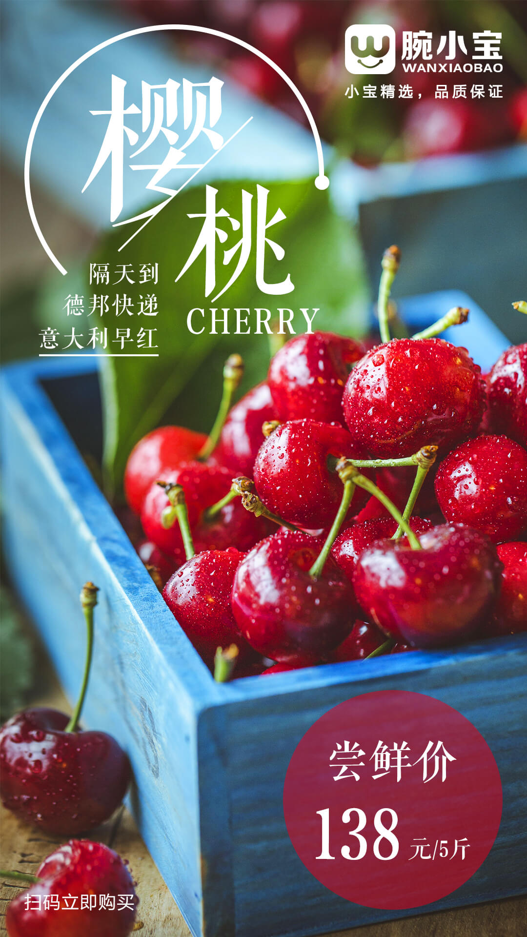 移动端樱桃海报