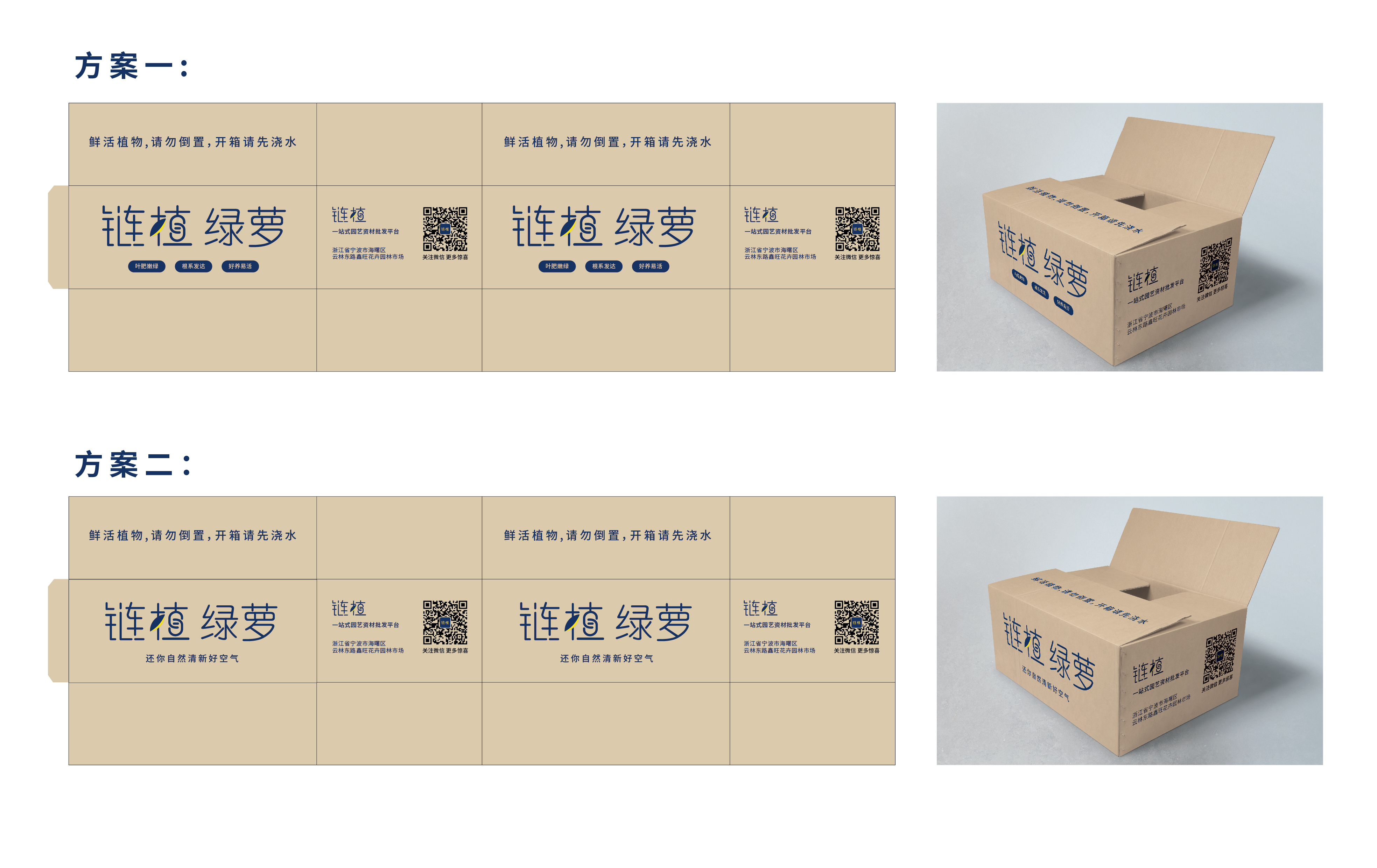 植物运输包装箱子