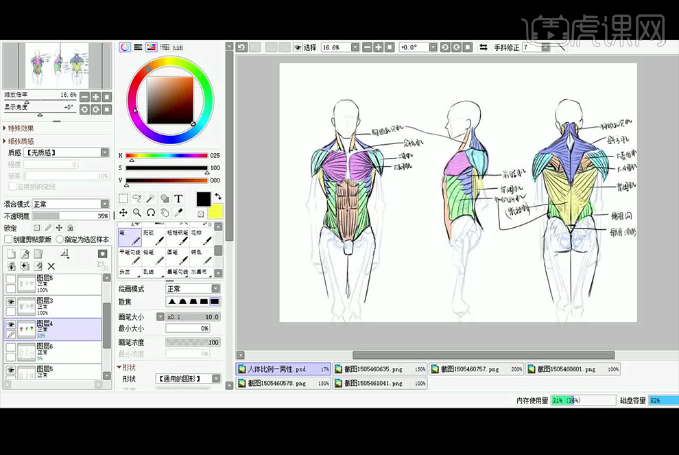 sai怎样手绘躯干与人体结构