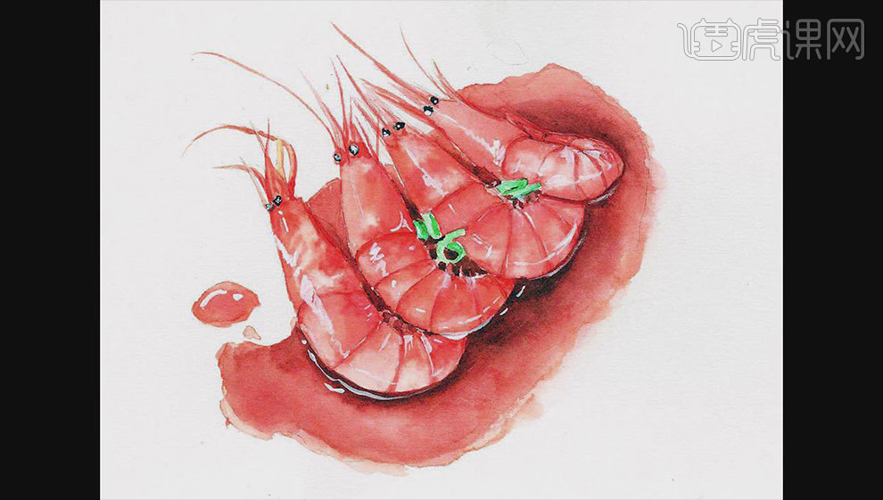 如何利用水彩手绘油焖大虾插画