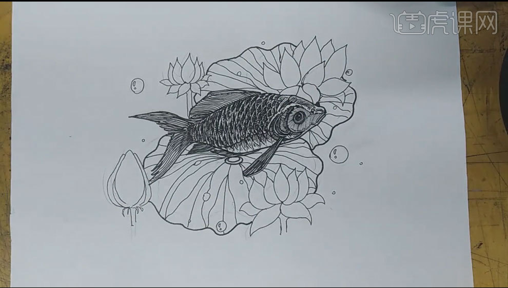 荷塘鱼简笔画图片