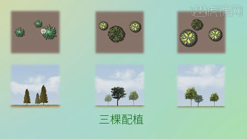 园林景观入门之植物配置1- 虎课网