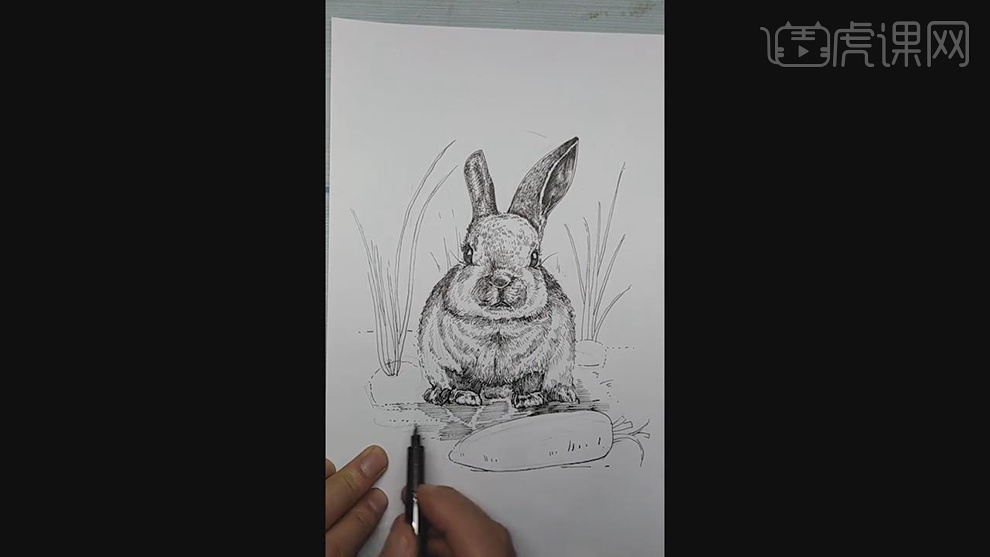 针管笔手绘灰兔黑白插图