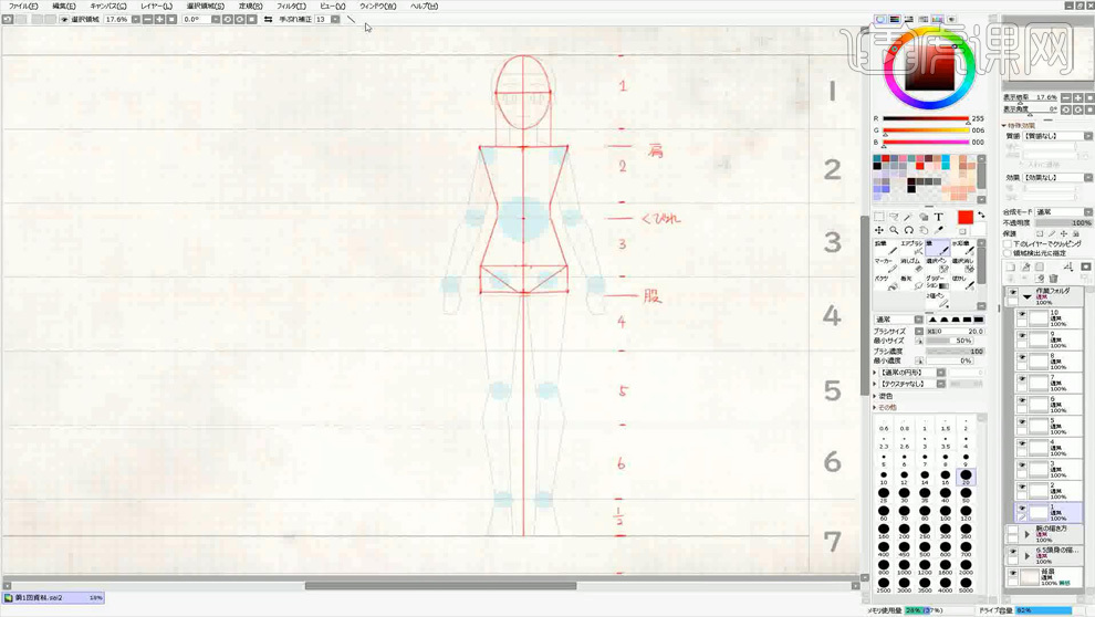 sai人物6.5头身的基础画法- 虎课网