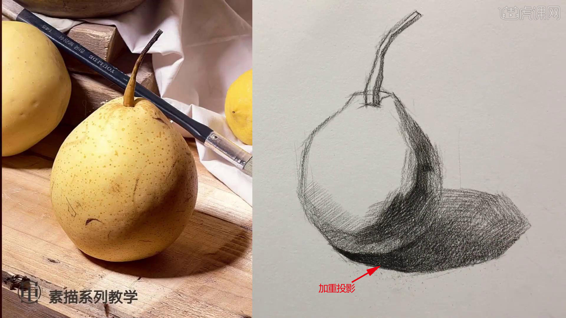 铅笔-素描静物单体系列教程-鸭梨图文教程