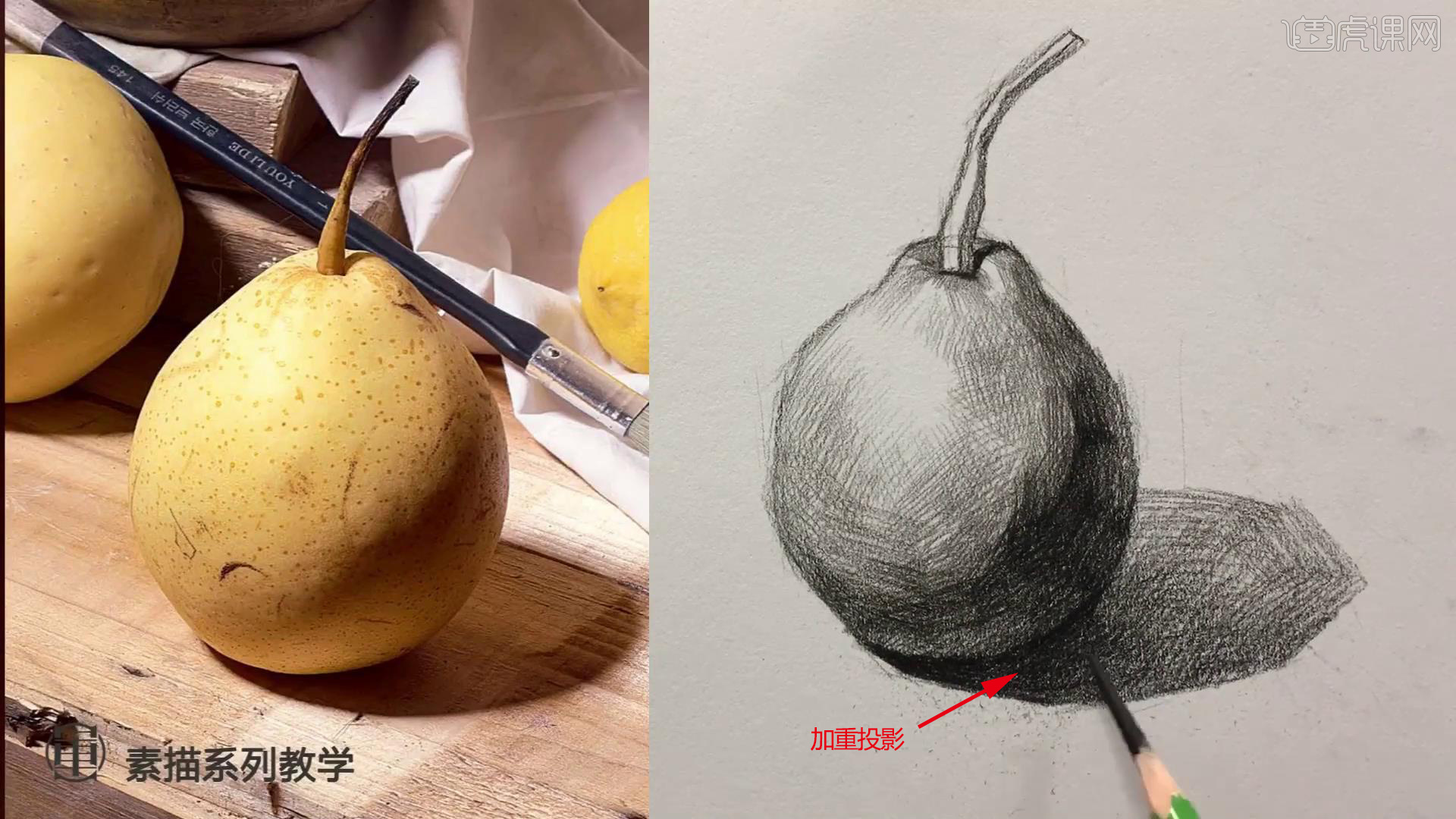铅笔素描静物单体系列教程鸭梨图文教程
