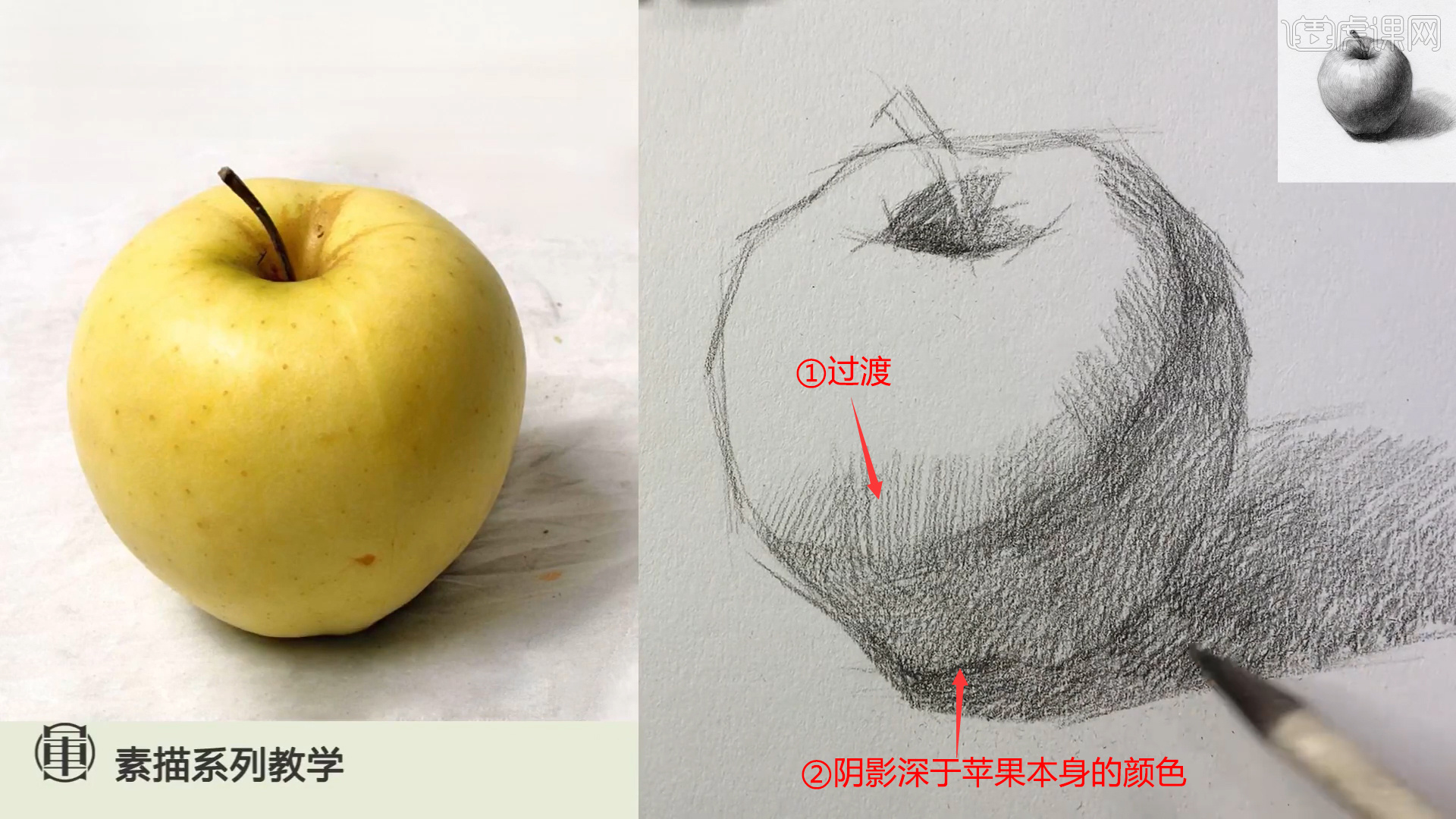 铅笔素描静物单体系列课程黄苹果图文教程