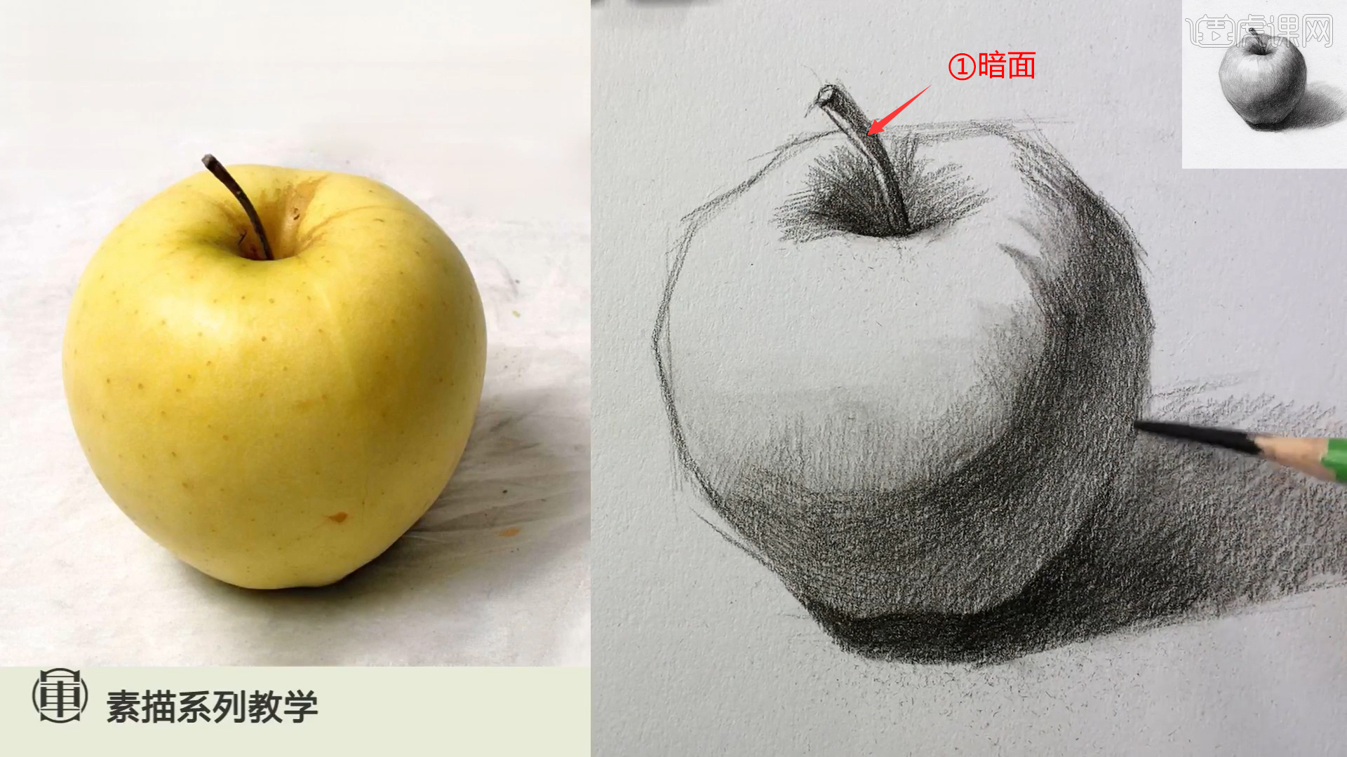 铅笔素描静物单体系列课程黄苹果图文教程