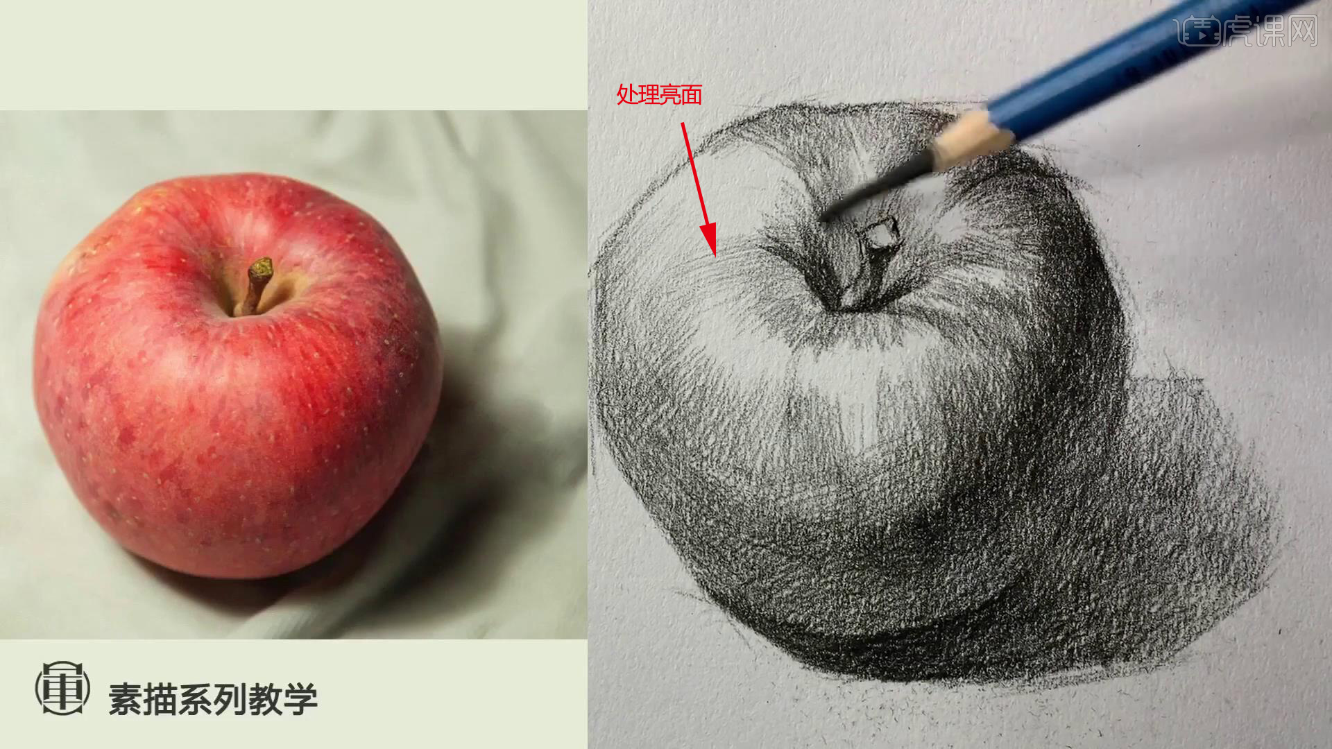 素描水果个体图片
