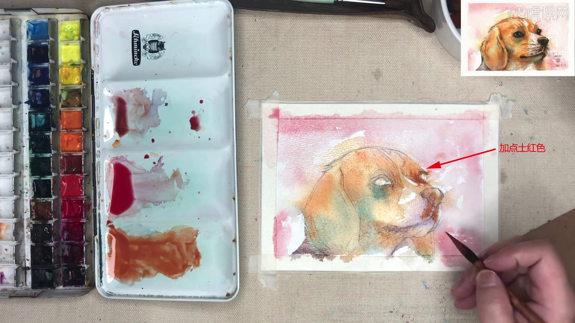 减压手绘萌宠 水彩 比格犬图文教程 虎课网 减压手绘萌宠 水彩 比格犬图文教程 虎课网