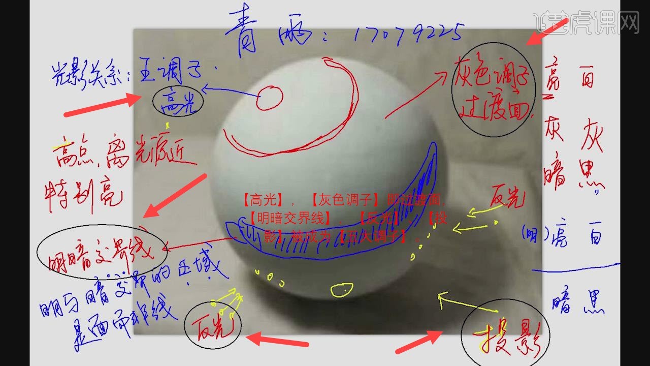 素描5大调子图片