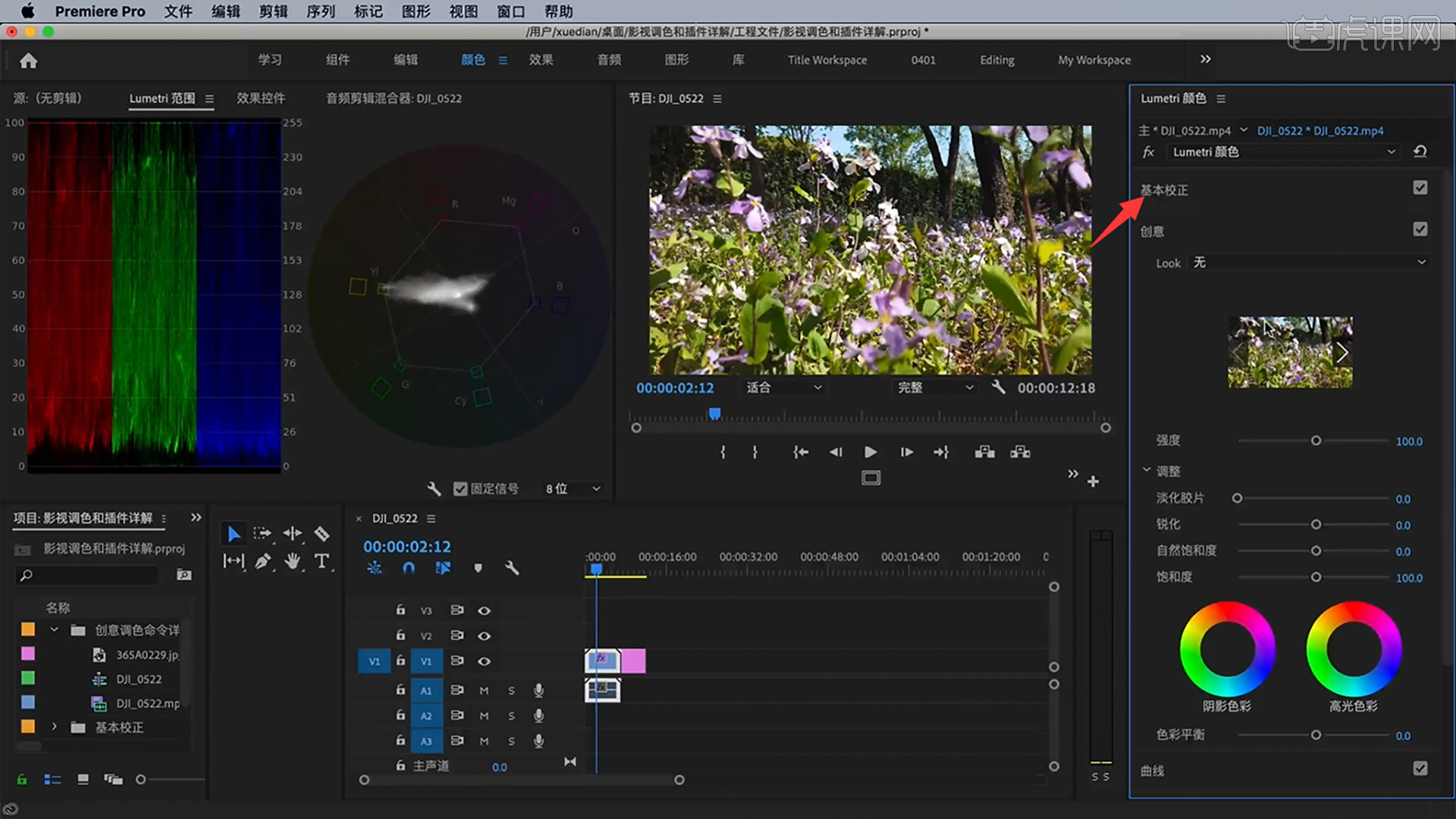 pr-创意调色-pr2020调色详解