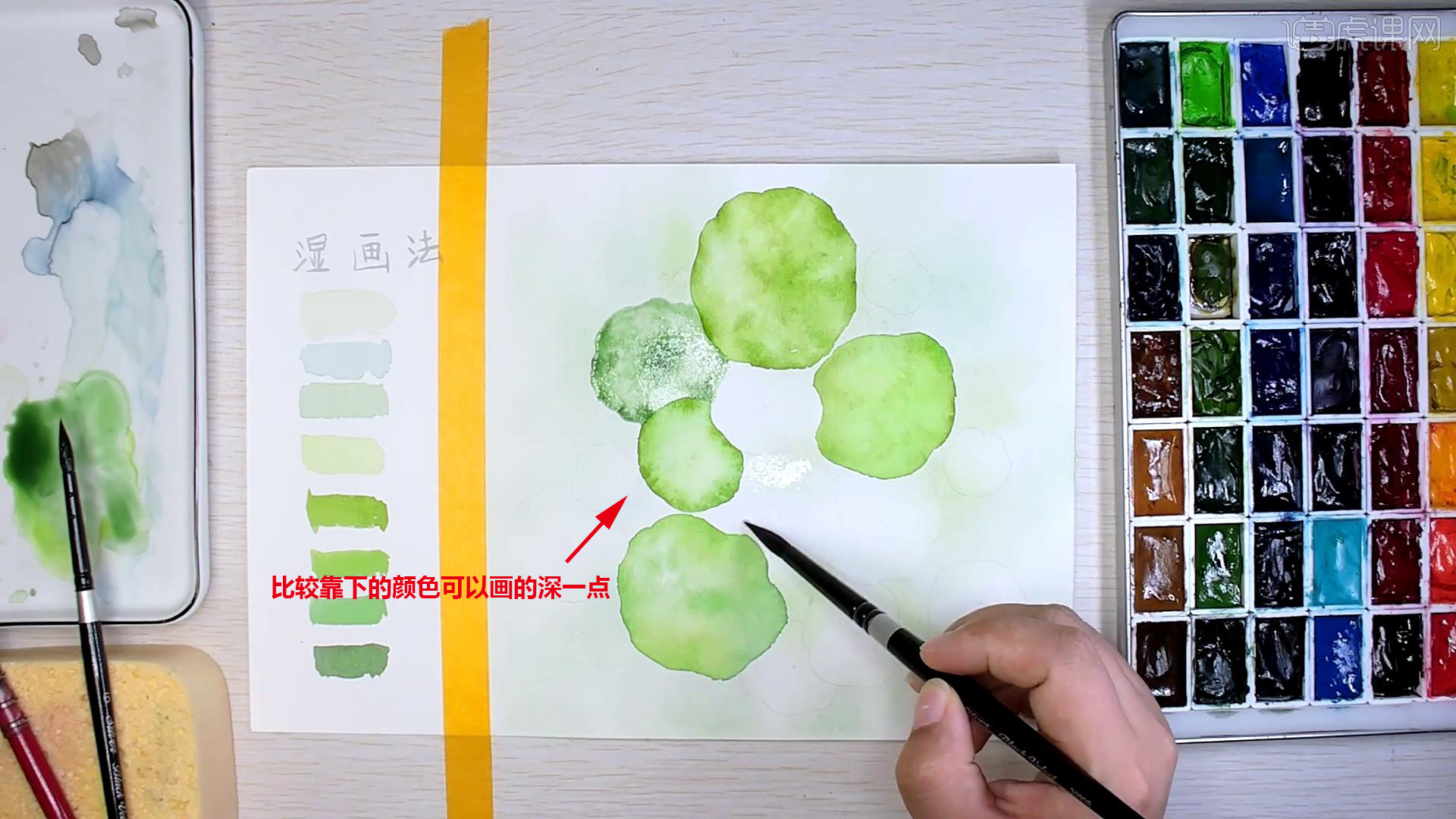 零基础学水彩技法湿画法画浮萍图文教程