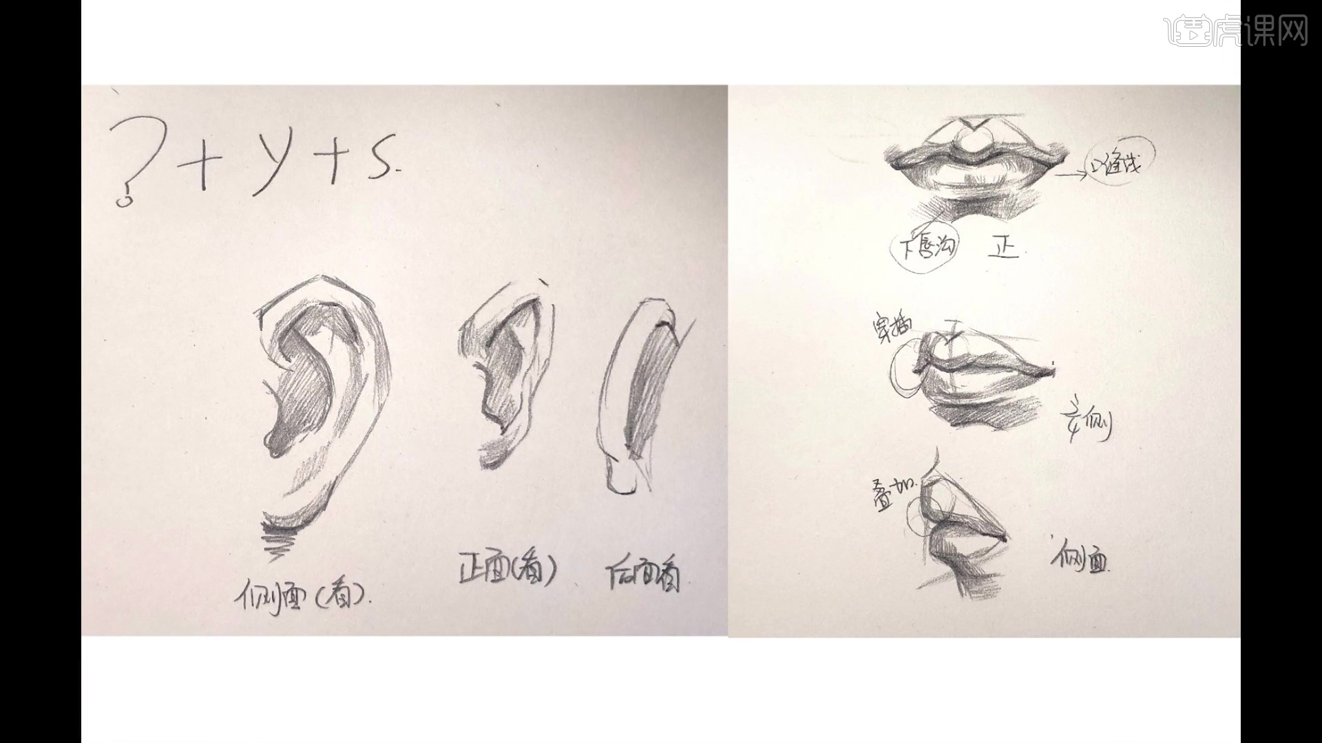 鉛筆ins風速寫頭像嘴部和耳朵結構講解圖文教程