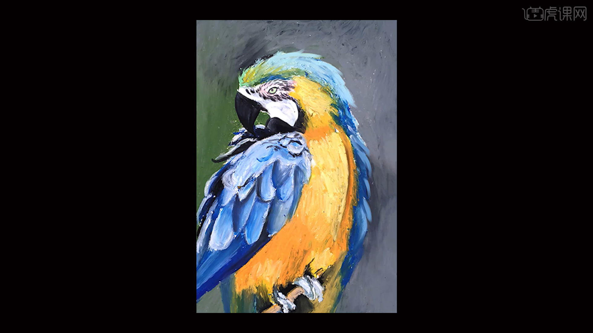 高级油画棒写实鹦鹉图文教程