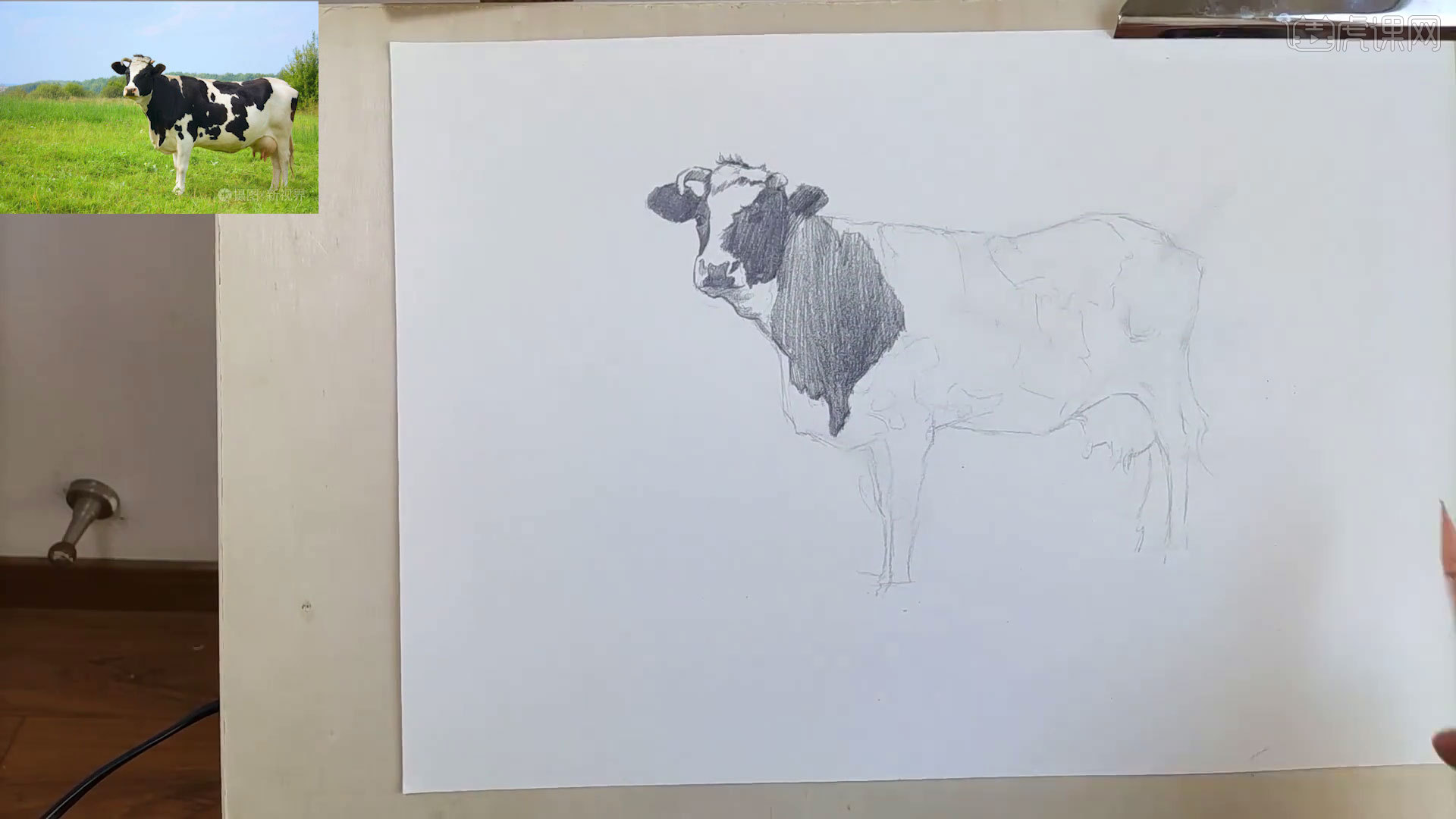 速写动物奶牛图文教程