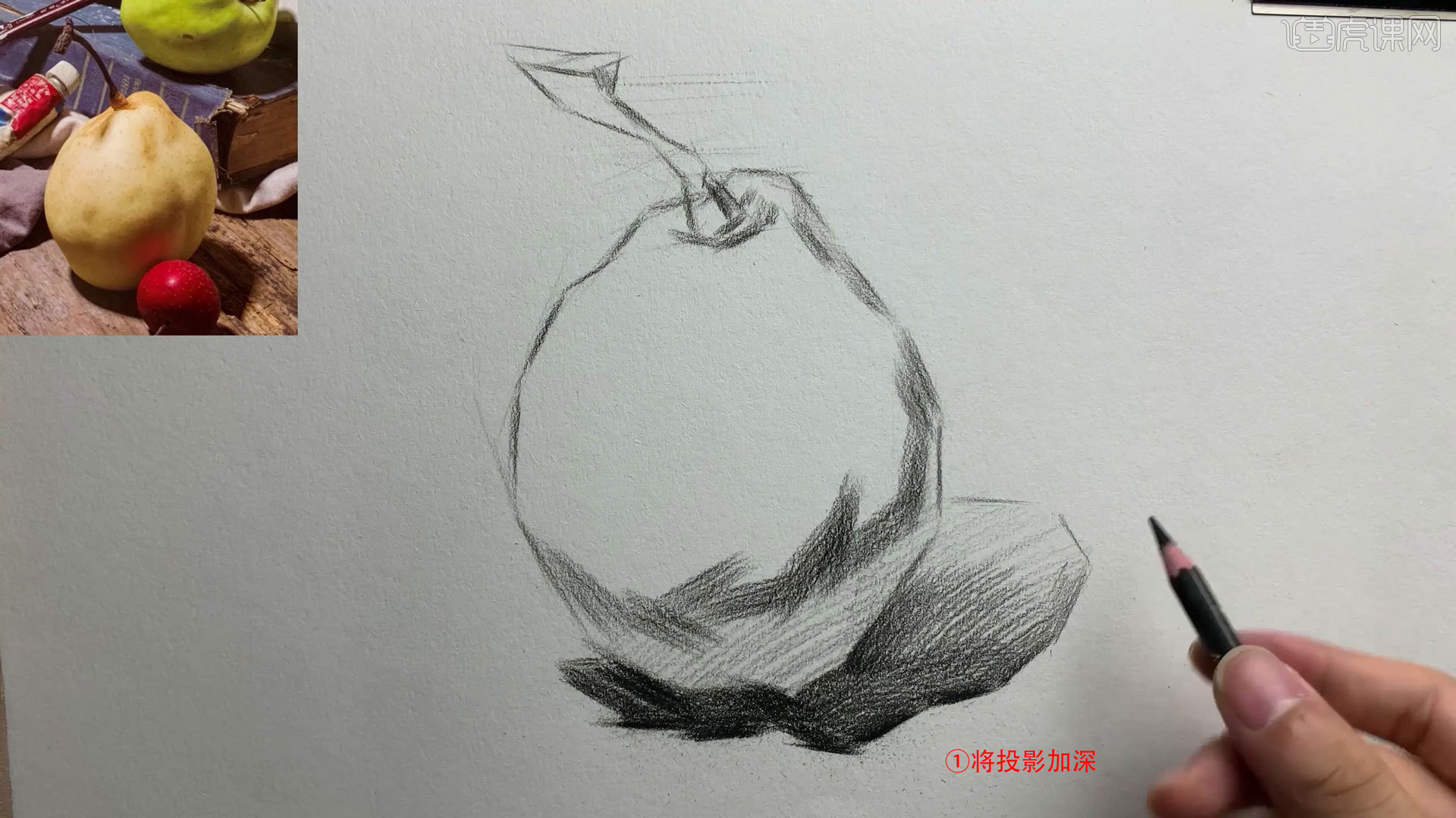 素描梨子 单个图片