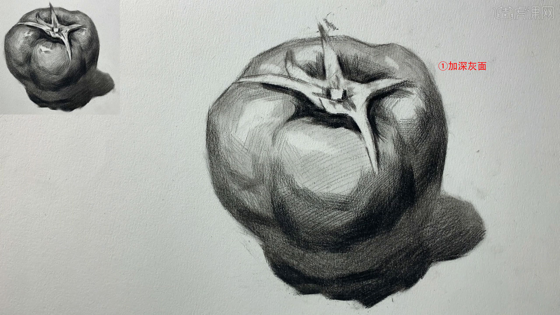 铅笔素描静物单体西红柿图文教程