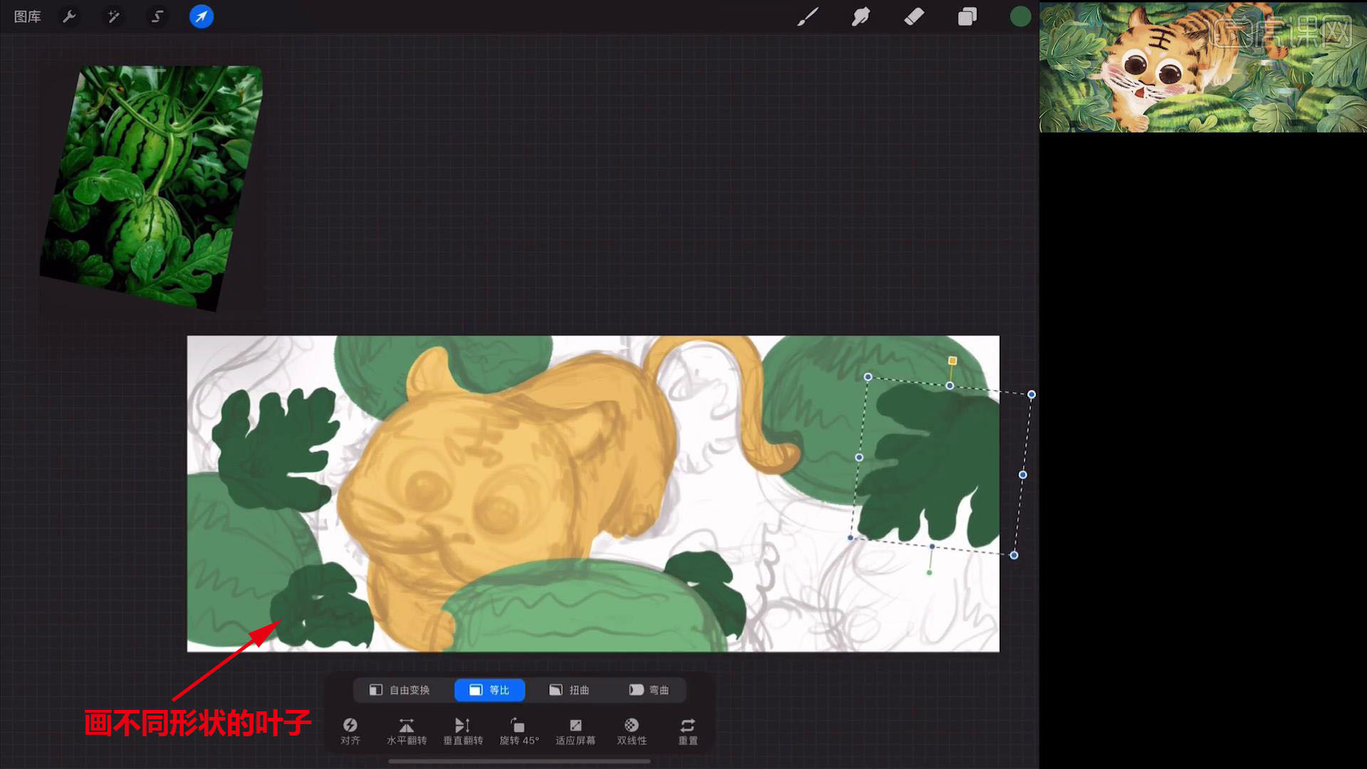 procreate动画怎么导出-procreate动画导出教程  第1张