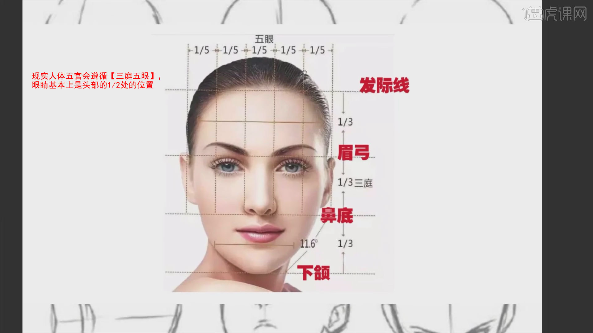 PS-五官详解(上)-二次元头像百科 - 绘画插画教程_PS(CC2018)、数位板 - 虎课网