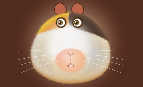 PS-鼠绘-可爱土拨鼠绘制
